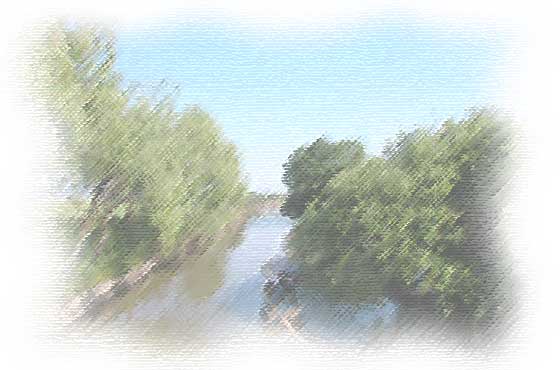 �ե꡼��˼�ۡ���ڡ���